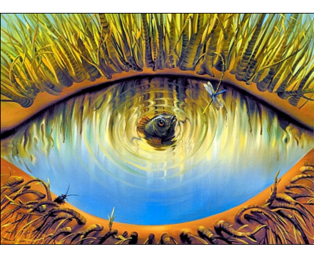 ../_images/limix-plot-image-1.png